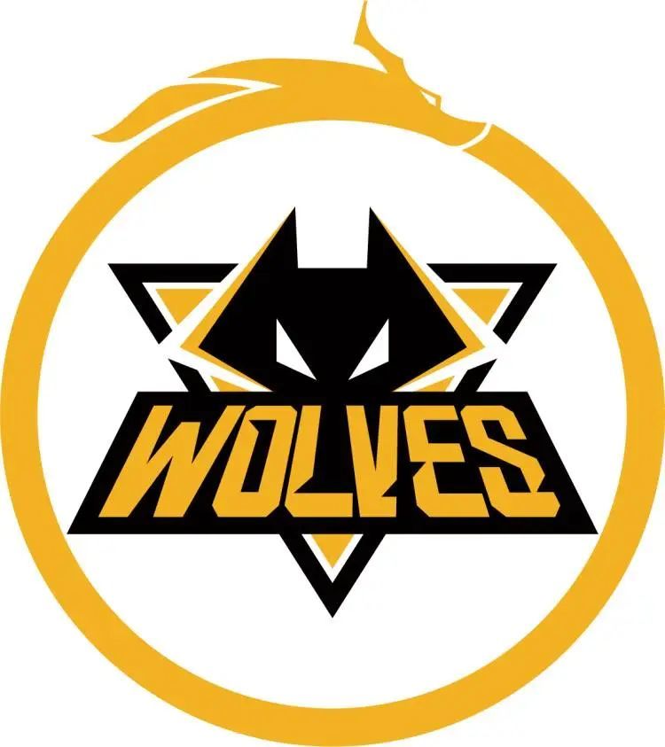 sjuush ：第一次打线下赛朋友说我是外挂